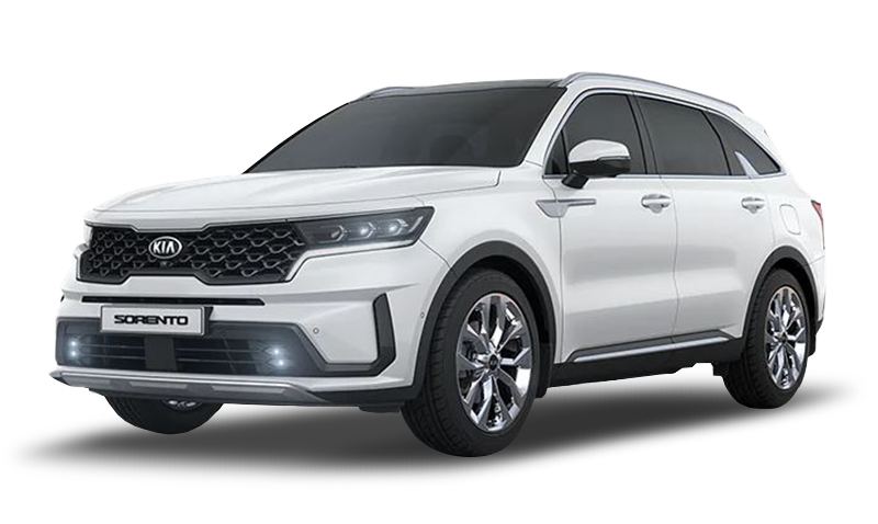 스노우 화이트 펄 익스테리어